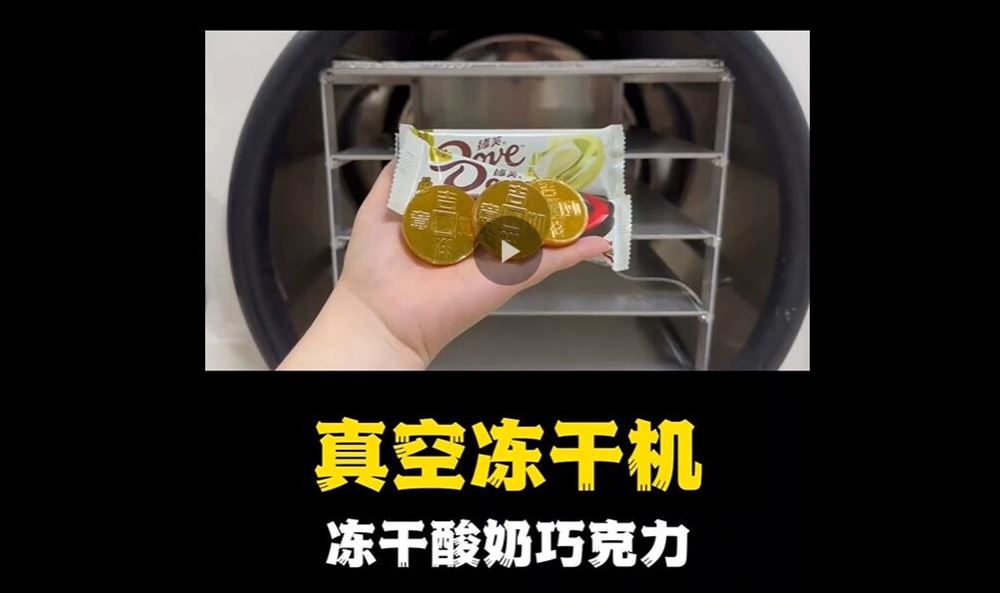 真空凍干機凍酸奶、巧克力