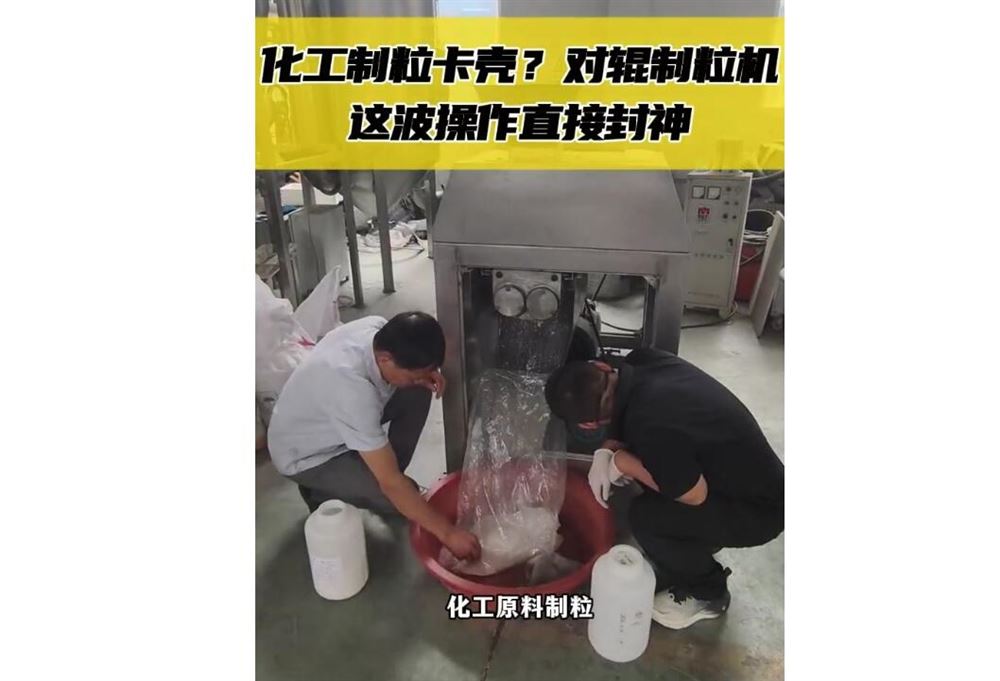對(duì)輥制粒機(jī)