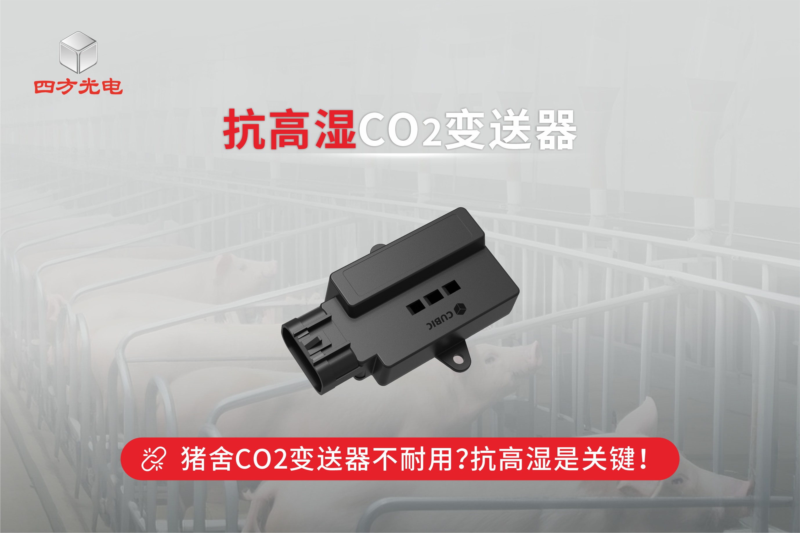 為什么豬舍CO2變送器容易壞？抗高濕是關鍵！