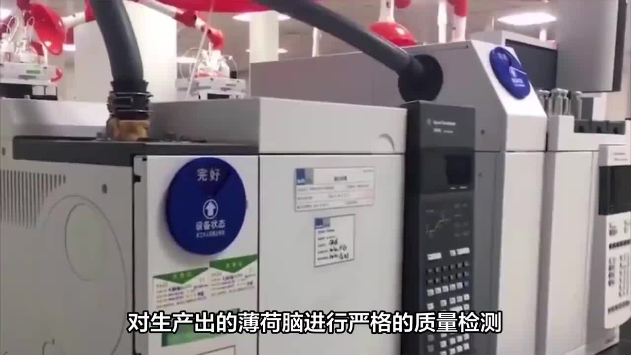藥用級(jí)薄荷腦又名薄荷醇CP藥典標(biāo)準(zhǔn)