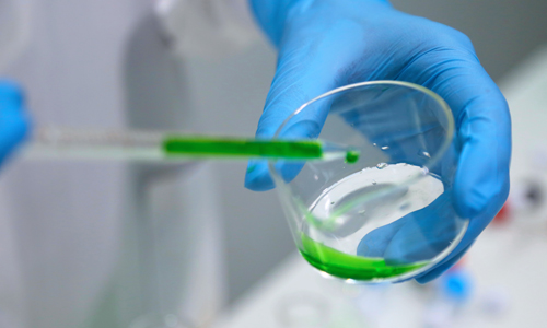 激活素受體迎來研發熱潮，藥企加速布局