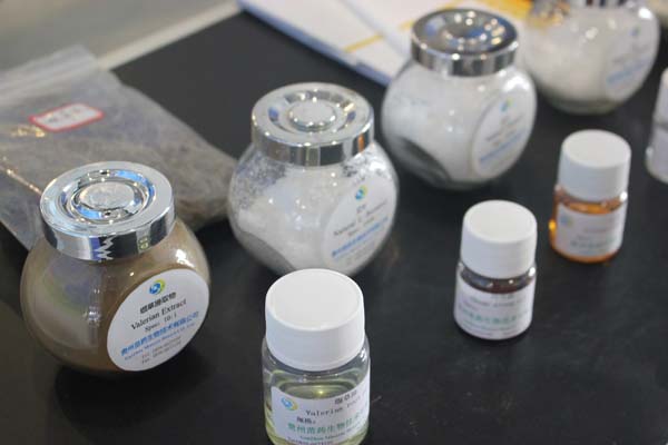 切入創(chuàng)新藥賽道，這家中藥企業(yè)又拿下一款新藥