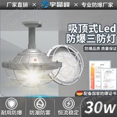 吸頂式防爆燈-30w