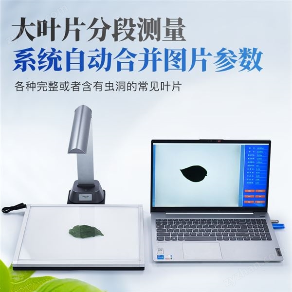 葉面積測量儀電腦版圖片