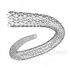 巴德血管支架系統(tǒng)