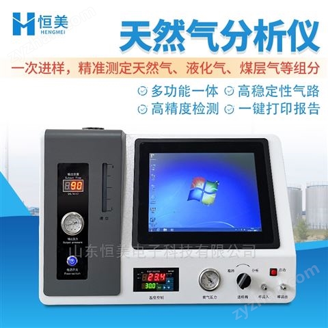 天然氣分析儀石油液化氣丙烷乙烷氣體檢測(cè)儀