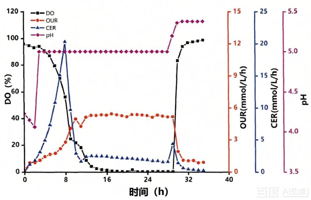 實(shí)驗(yàn)室平行反應(yīng)器